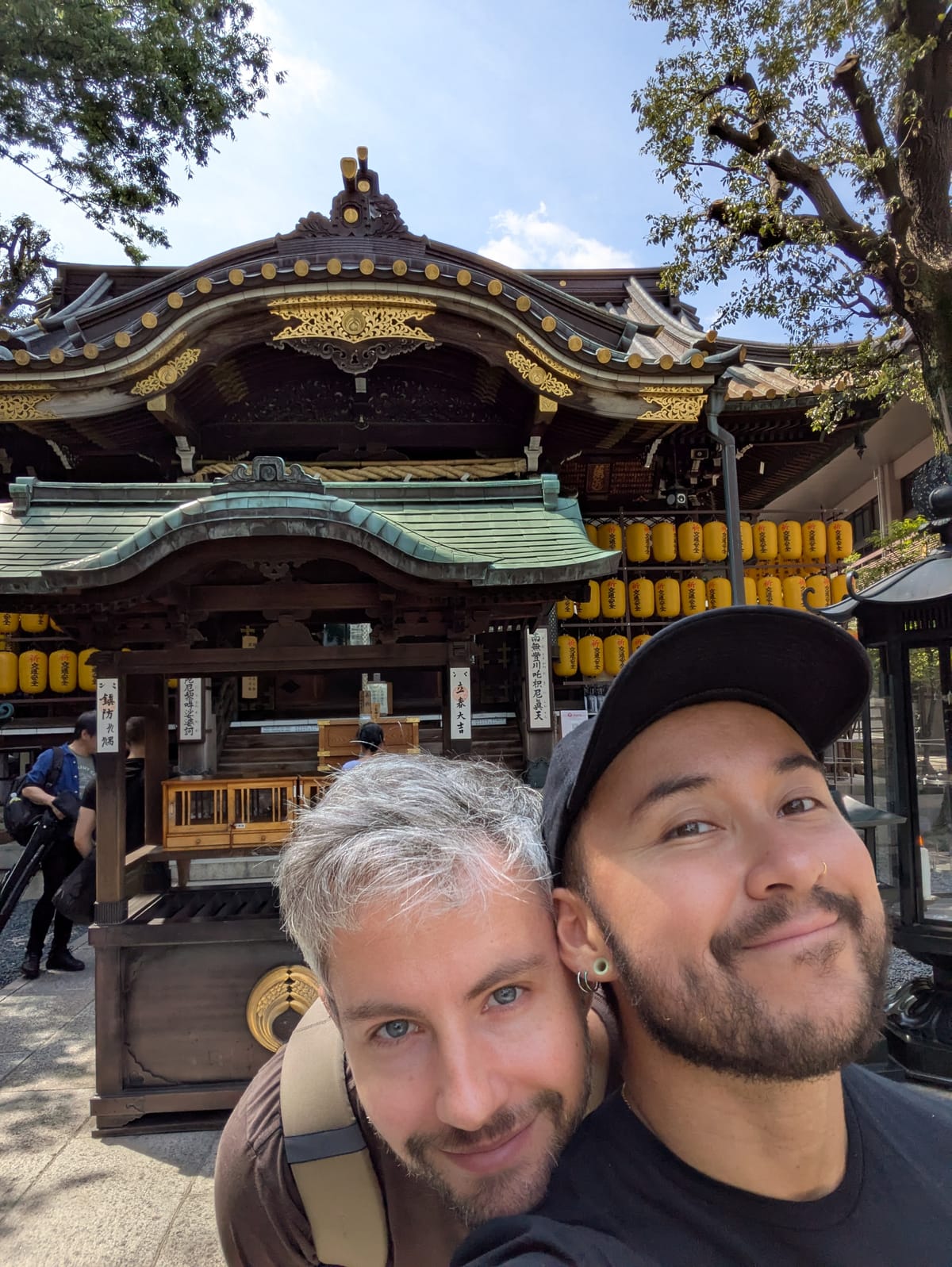 Vossen, katten, duiven en draken.