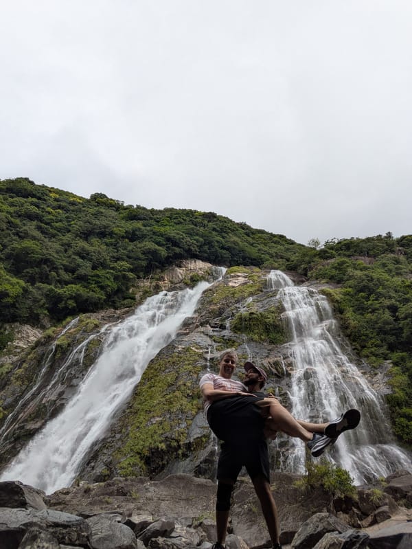 Yakushima dag 1 & 2: beestenbos is blij
